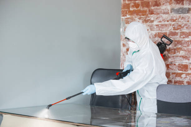 Mold Remediation for Vacation Homes in New Tazewell, TN